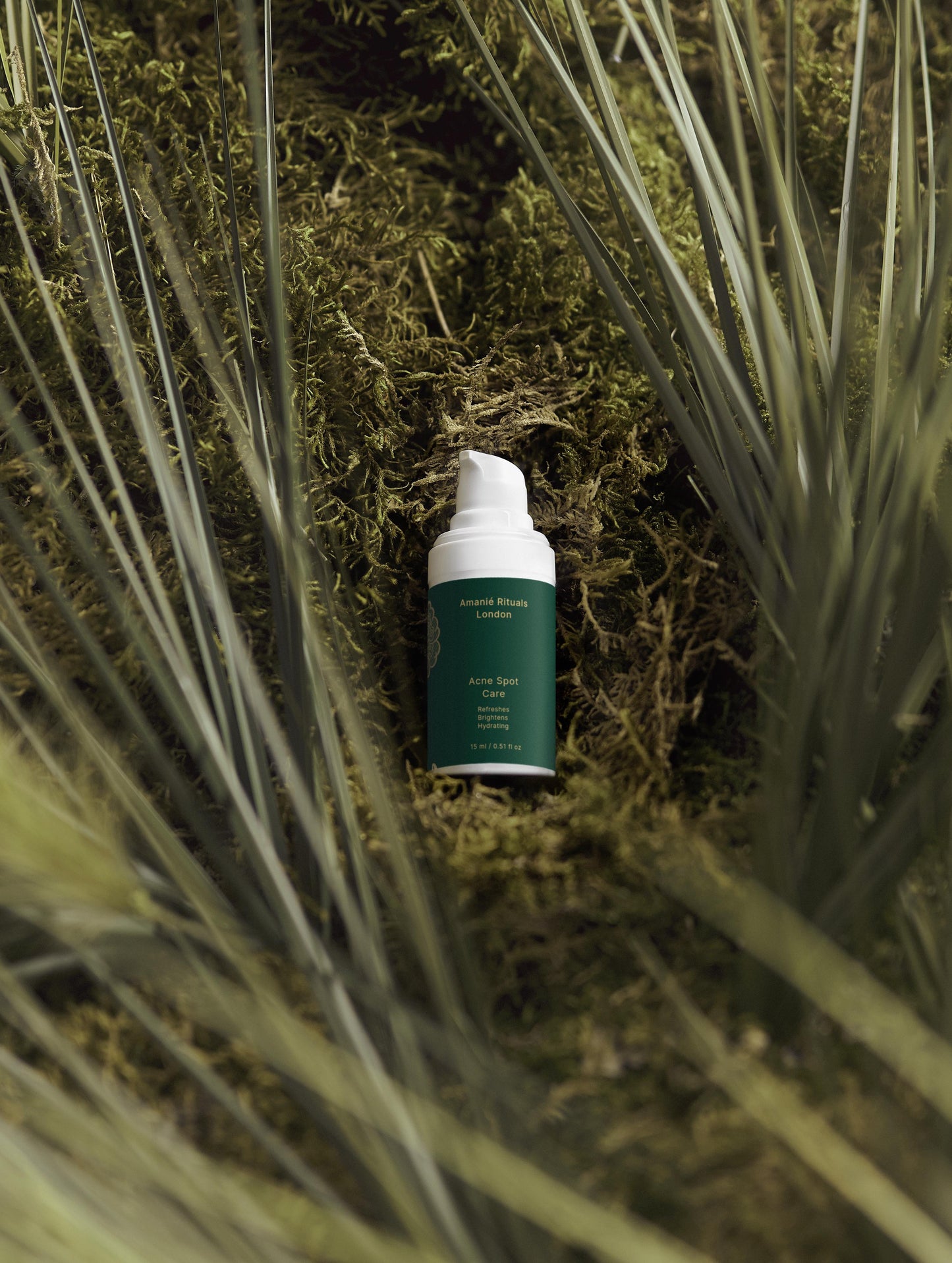 Acne Care Collection Box - Your Complete Ritual for Clear Skin